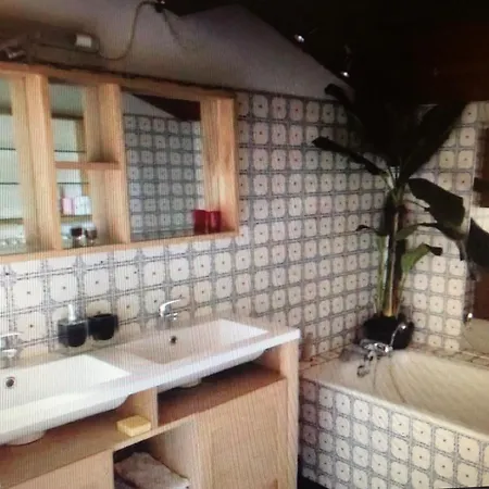 Petite Maison De Charme Avec Piscine Et Pins Centenaires * Nimes
