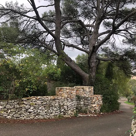 Petite Maison De Charme Avec Piscine Et Pins Centenaires *