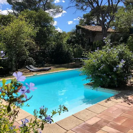 Petite Maison De Charme Avec Piscine Et Pins Centenaires Βίλα