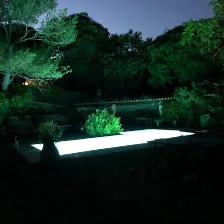 Villa Petite Maison De Charme Avec Piscine Et Pins Centenaires Nîmes