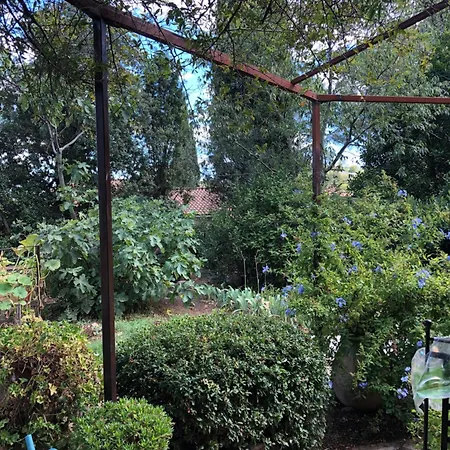 Petite Maison De Charme Avec Piscine Et Pins Centenaires فيلة