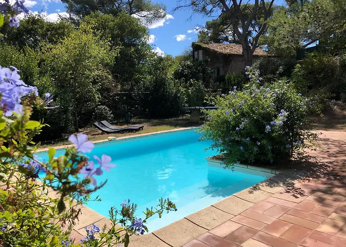 Petite Maison De Charme Avec Piscine Et Pins Centenaires Βίλα