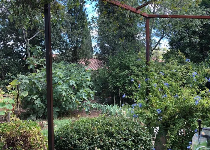 Petite Maison De Charme Avec Piscine Et Pins Centenaires Βίλα